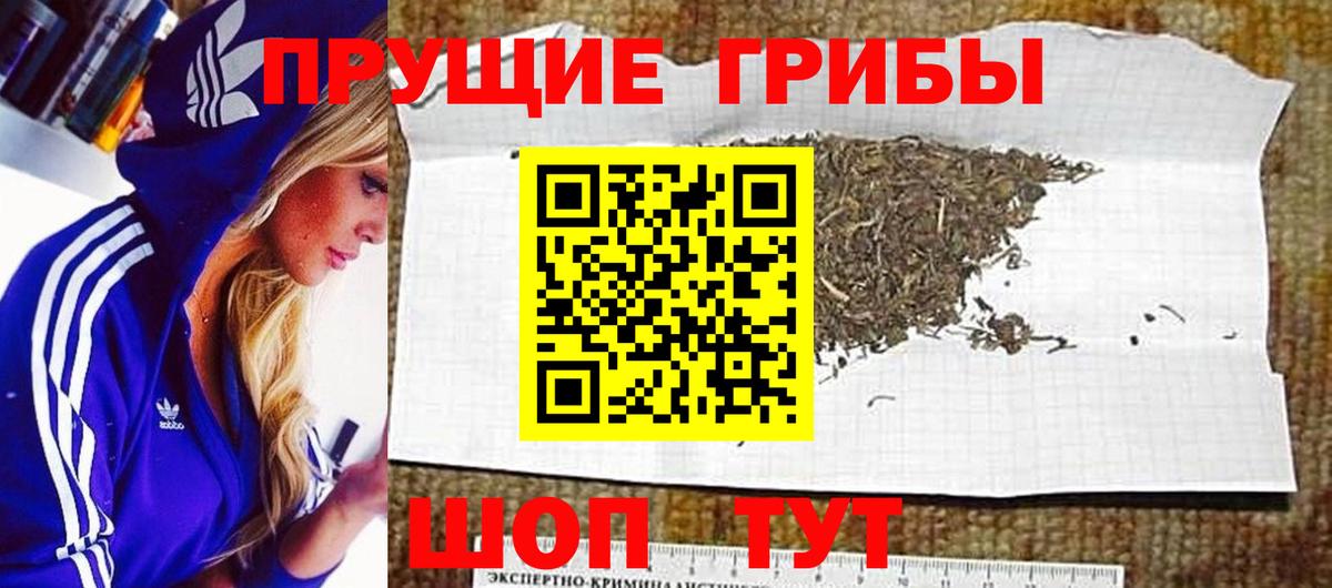 Псилоцибиновые грибы мицелий  Вход с VPN  Галлюциногенные грибы Cubensis  закладка  Тосно 