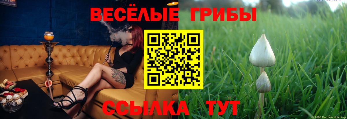 Галлюциногенные грибы Cubensis Тосно